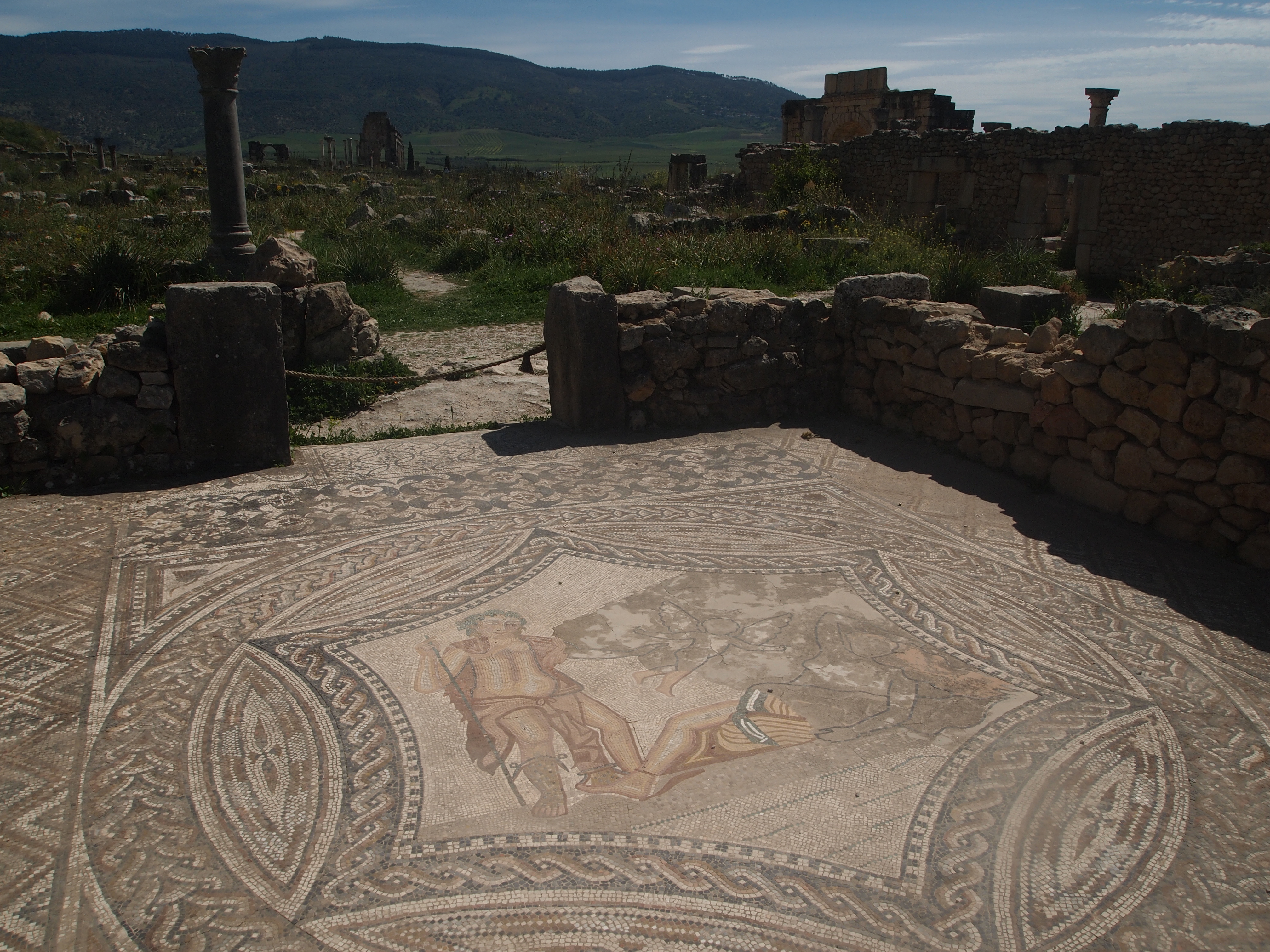 Mosaïque romaine au sol dans une maison de Volubilis