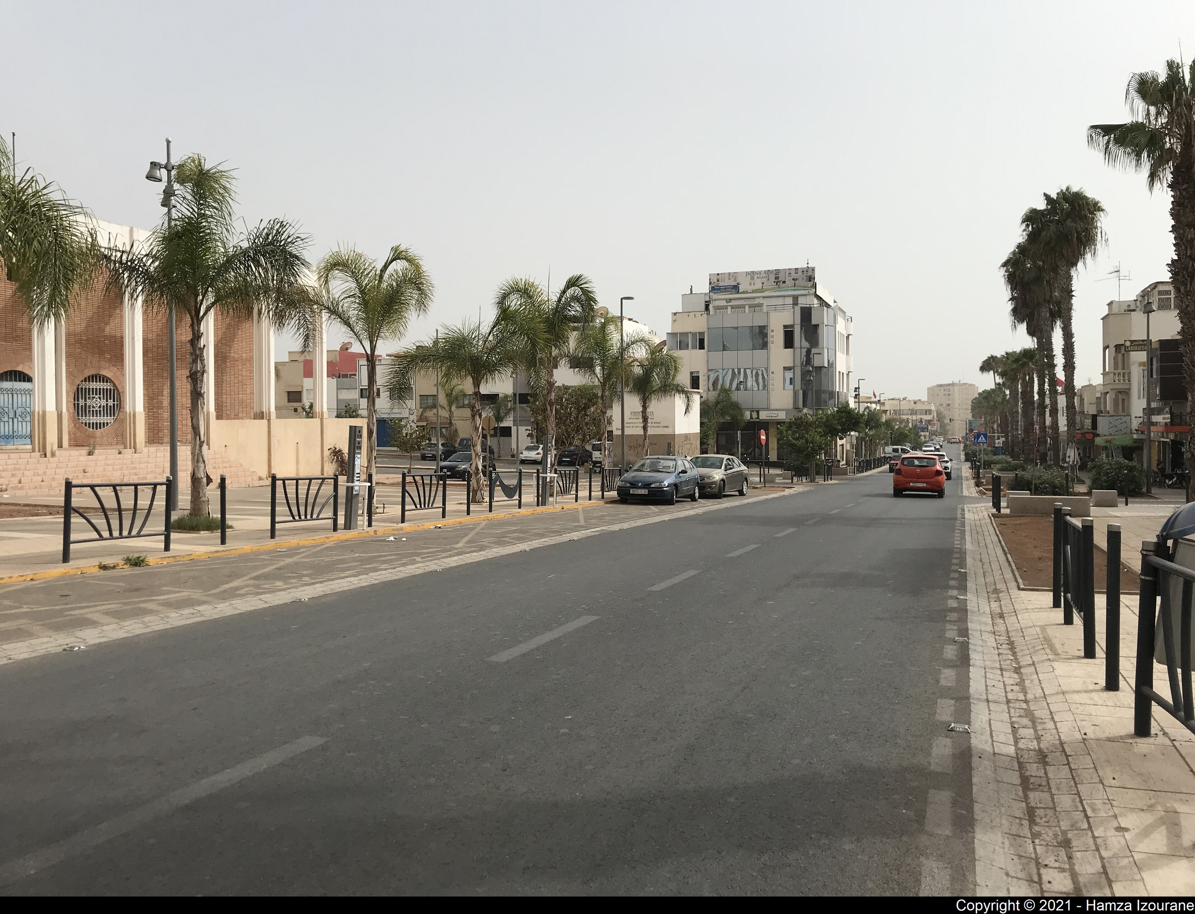 Avenue 29 Février bordée de palmiers dans le quartier de Talborjt à Agadir