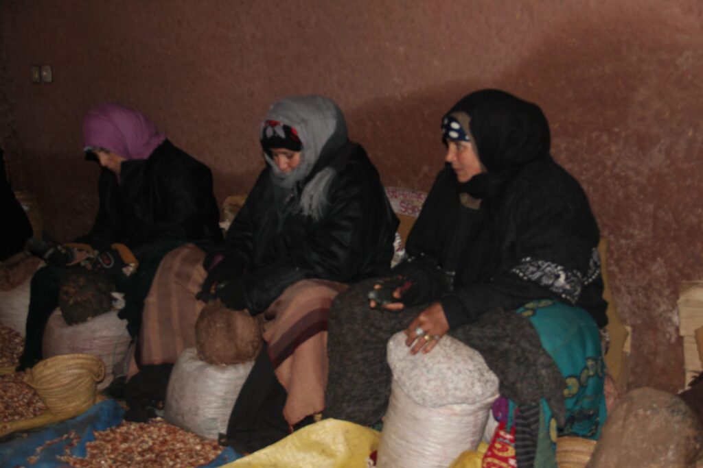 Coopérative d'huile d'argan, vallée de l'Ourika (illustration)