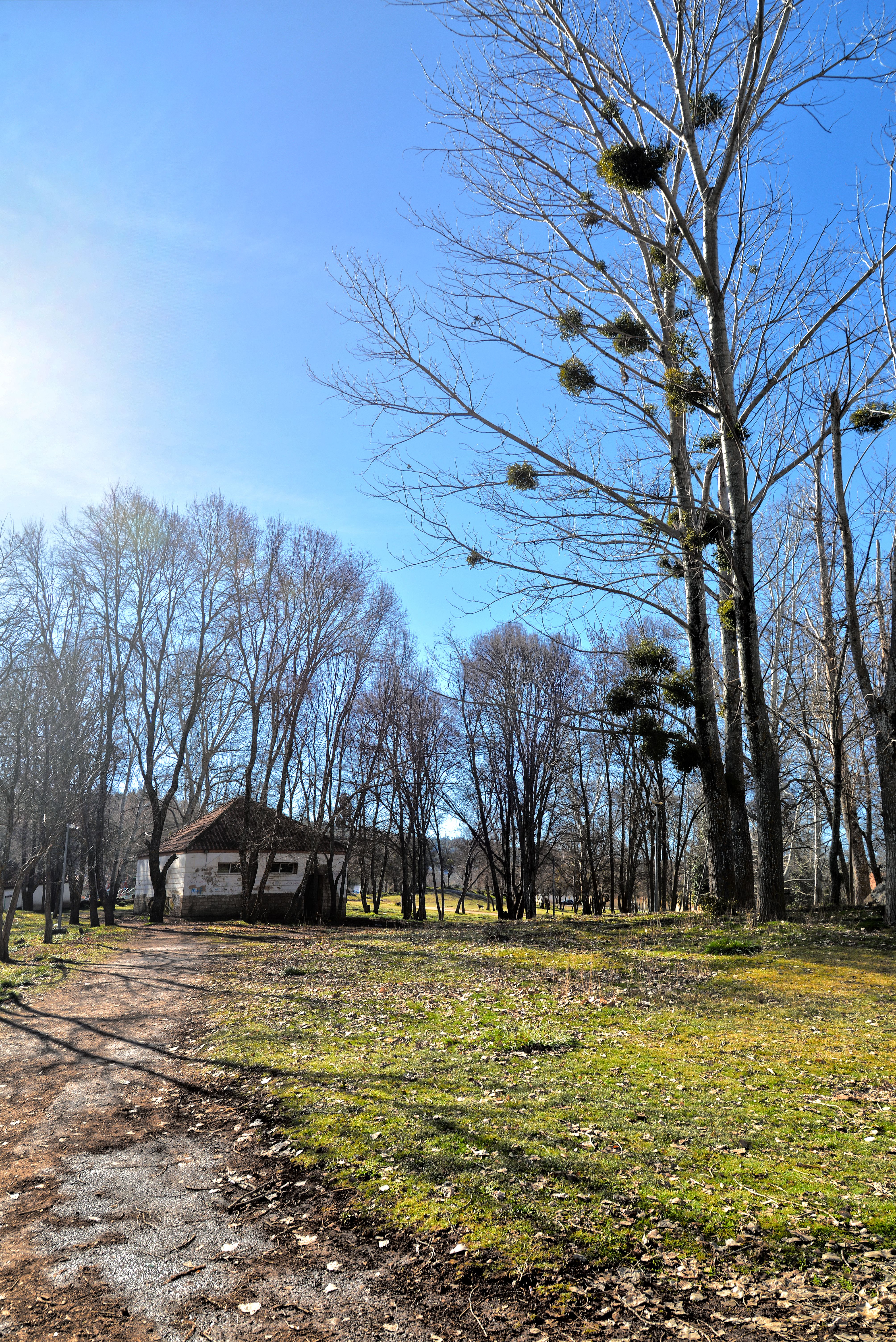 Découvrir Ifrane