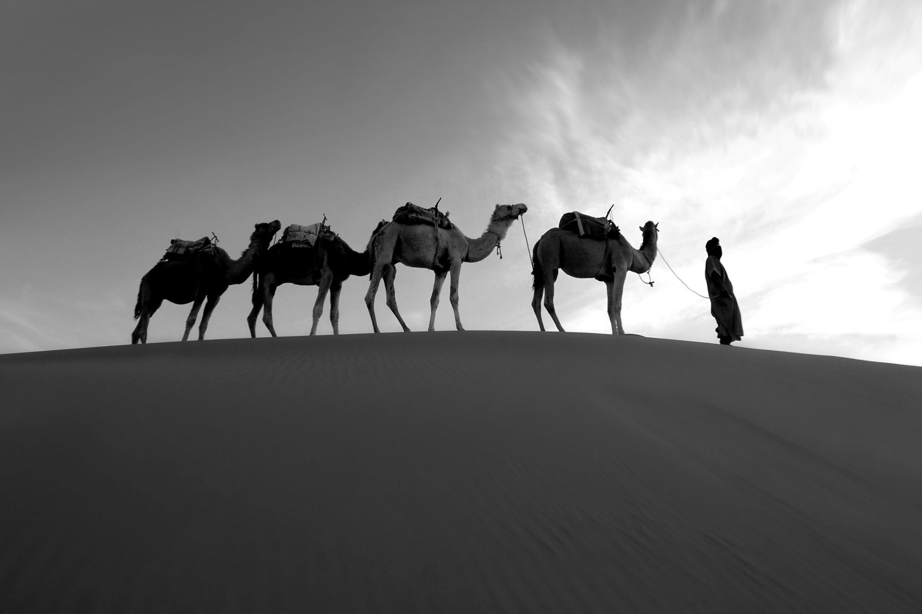Caravane de dromadaires traversant les dunes au crépuscule
