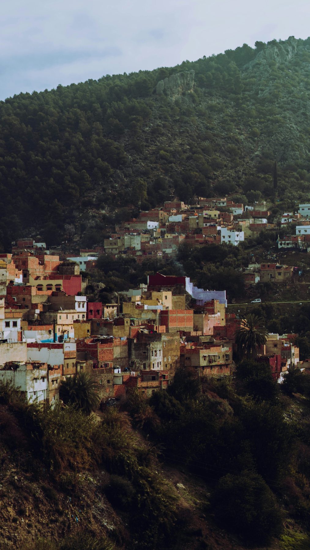 Le village accroché à la colline de Moulay Idriss Zerhoun