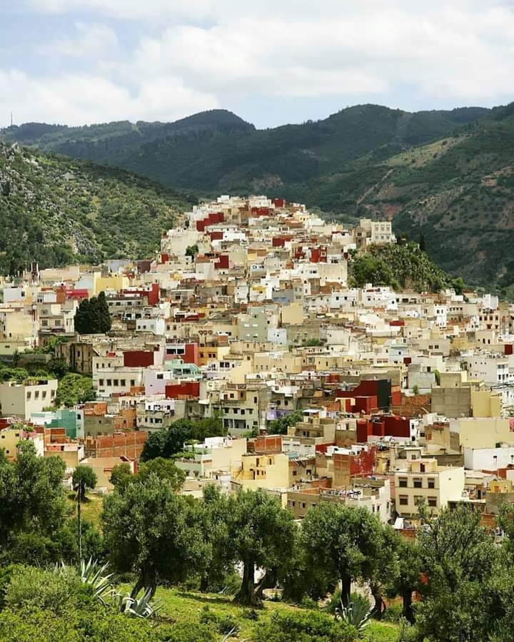 Maisons blanches et colorées serrées sur la colline de Moulay Idriss Zerhoun